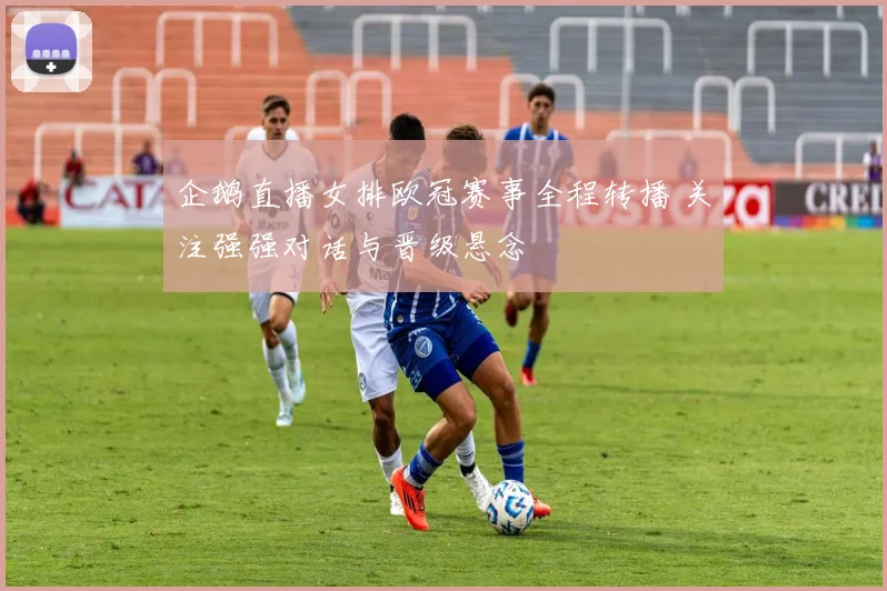 企鹅直播女排欧冠赛事全程转播 关注强强对话与晋级悬念